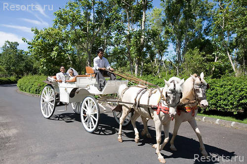 The Ritz Carlton Bali Resort & Spa 113